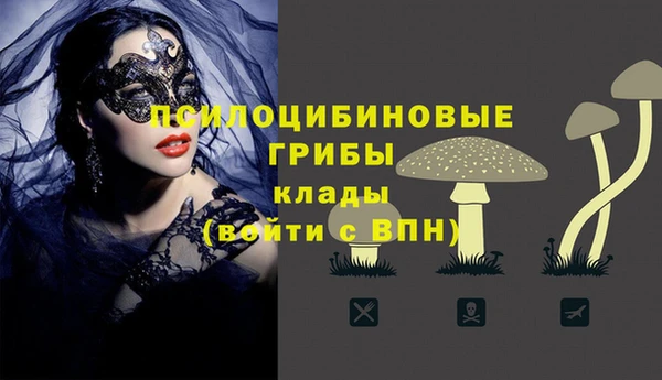 герыч Вяземский