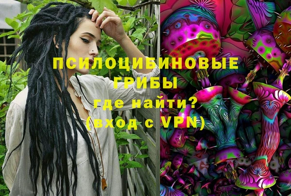 ГАЛЛЮЦИНОГЕННЫЕ ГРИБЫ Вязьма