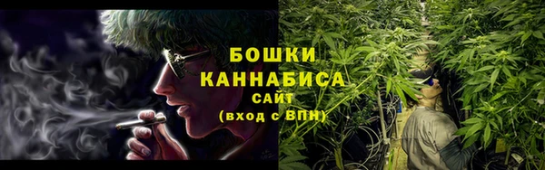 дживик Ивангород