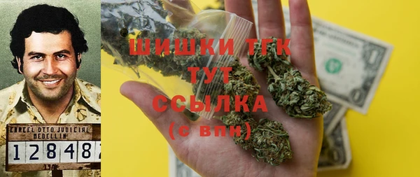 ГАЛЛЮЦИНОГЕННЫЕ ГРИБЫ Вязьма