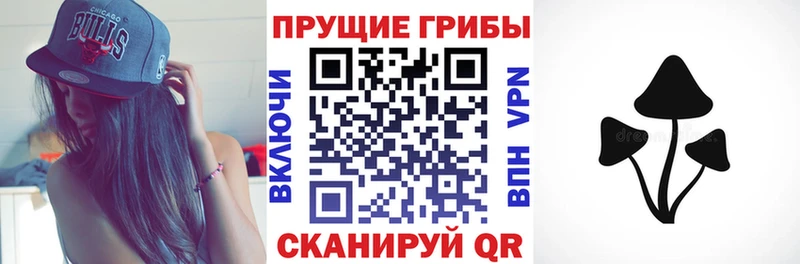 Псилоцибиновые грибы Psilocybe  дарнет шоп  Перевоз 